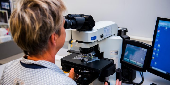 HPV-screening